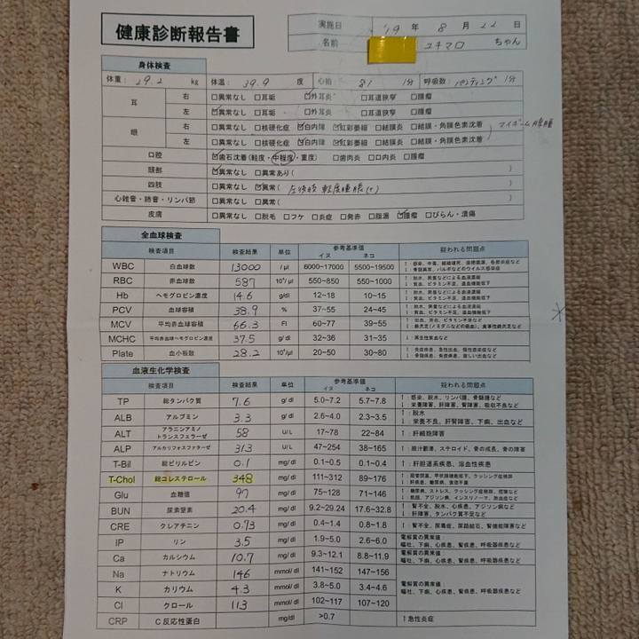 2ed0a92f 2d69 4470 87a7 8a3fb0bf6f58 1566612544782