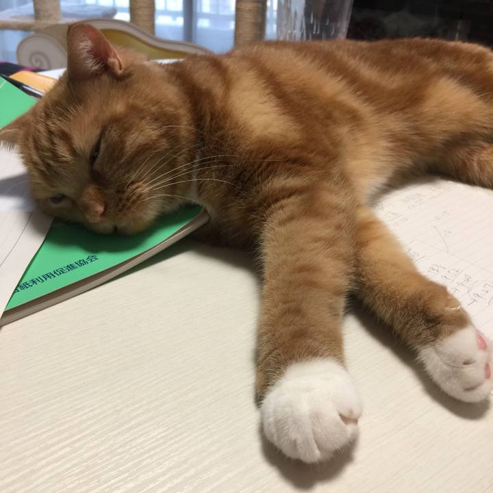 2ed0f674 311b 4ee3 8409 c2e044dba7ac 1562493047000