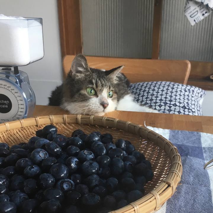 2ed13ce2 d2aa 473d aba2 5dd3f34dc31b 1690840798257