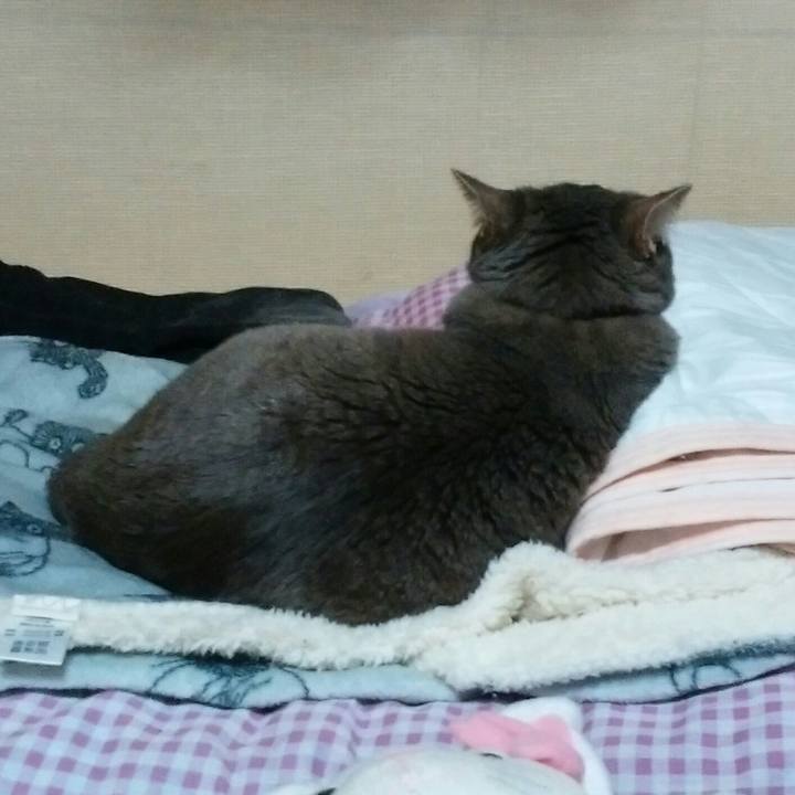 2ed13f7c e277 4d5c be0e 4a2d63e22086 1523544675440