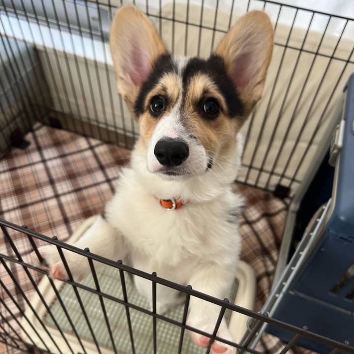 2ed14948 eb47 4e0f a166 1f3cd67fe242 1772674051275