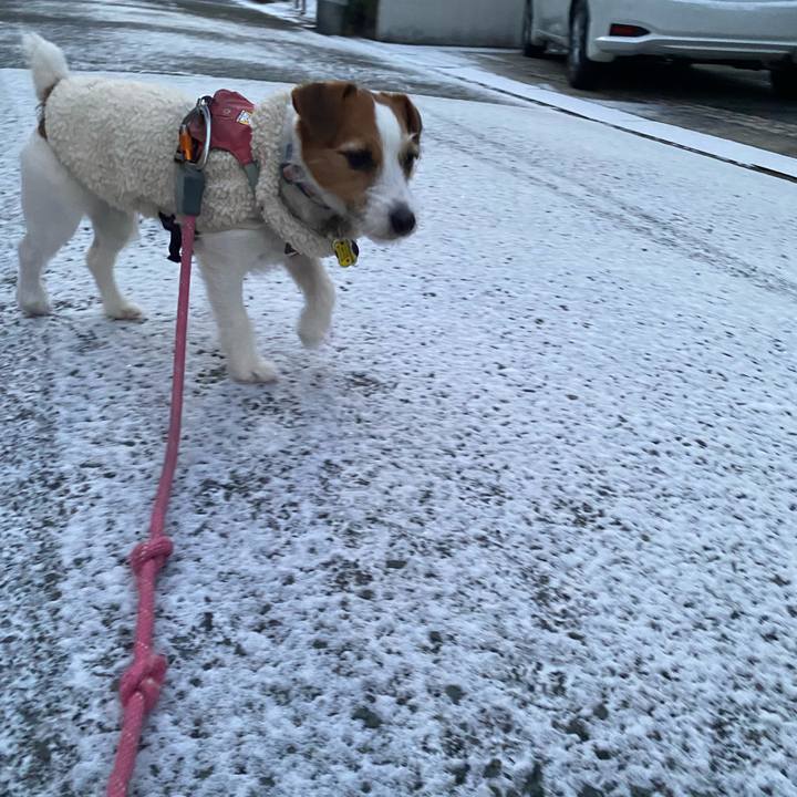 2ed155b7 5650 4280 978a 130c834f5d93 1770594842368