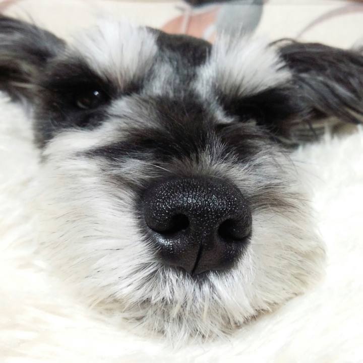 2ed17deb 0ff5 4987 b8be 9b027670ed85 1523453124795