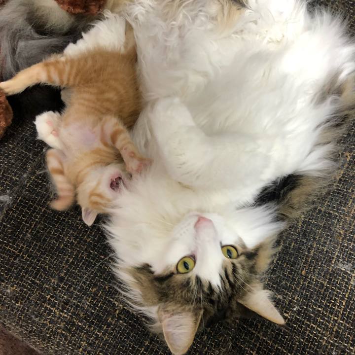 2ed1b5ae 2e22 4c7e ad5c 59cd5aaae2cd 1560660413621