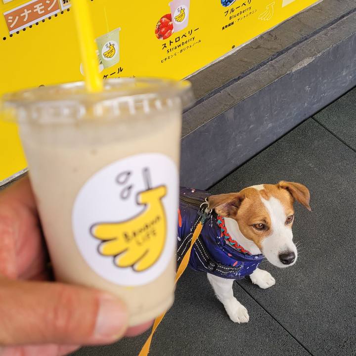 2ed1c973 0a0d 448f a6b0 933f66562fd0 1704946735312