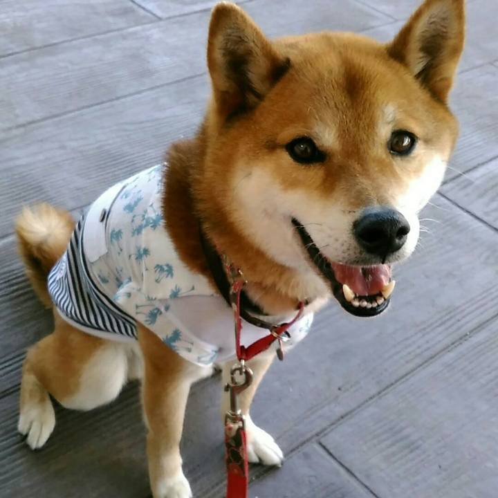 2ed25f36 7455 4ec4 b0da bcd267ce2548 1558783634014