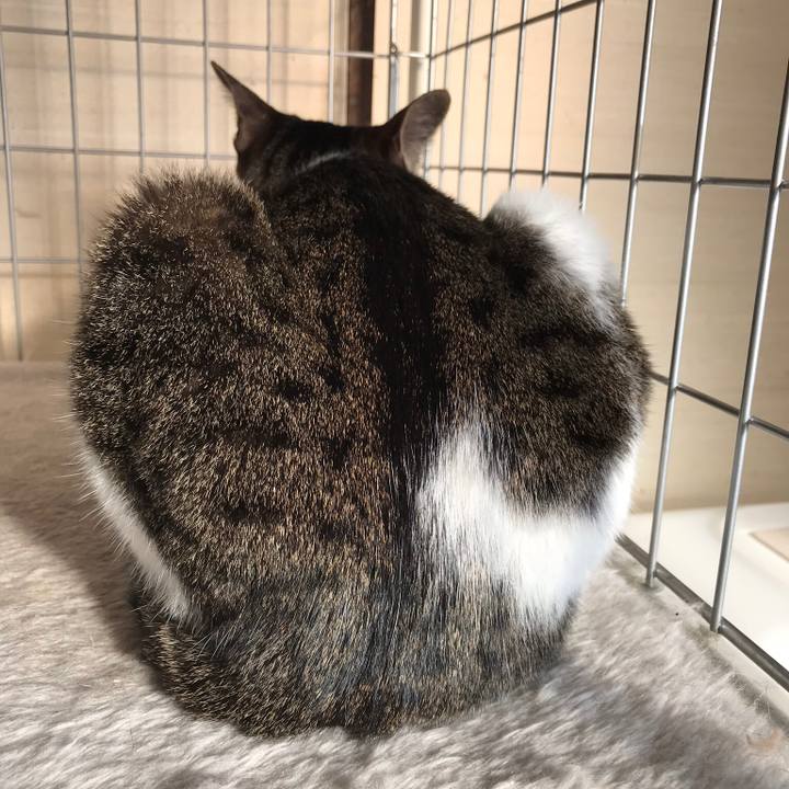 2ed277df 5e59 4fb3 99f4 4adcdf6a052d 1515893826373