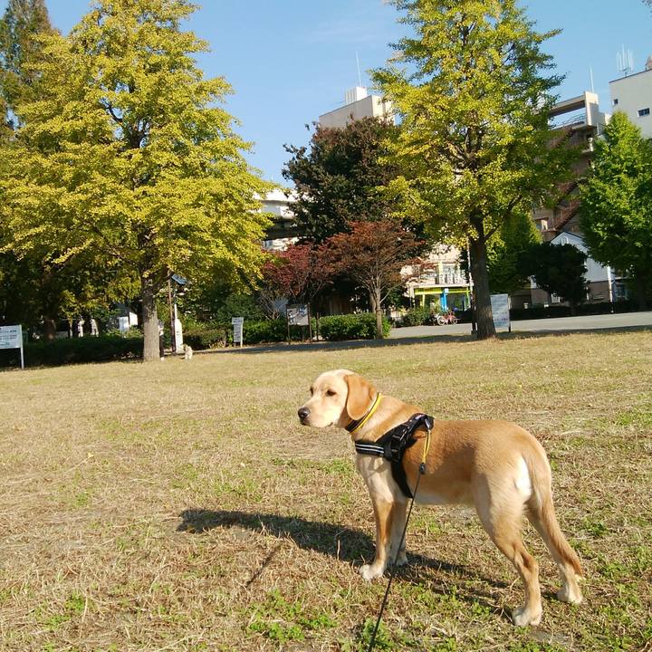 2ed28d78 47c8 4995 841f 3edcaca6cb5c 1509598999041