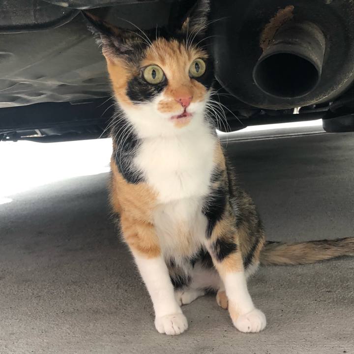 2ed2e2a1 fd43 4c61 a7d1 ae9abb9f6870 1648777797229