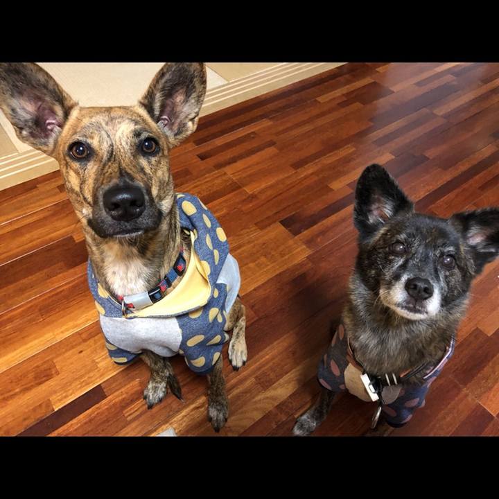 2ed2eacb 8bbd 4cb7 a7c1 d8e1372a4f52 1603630977330