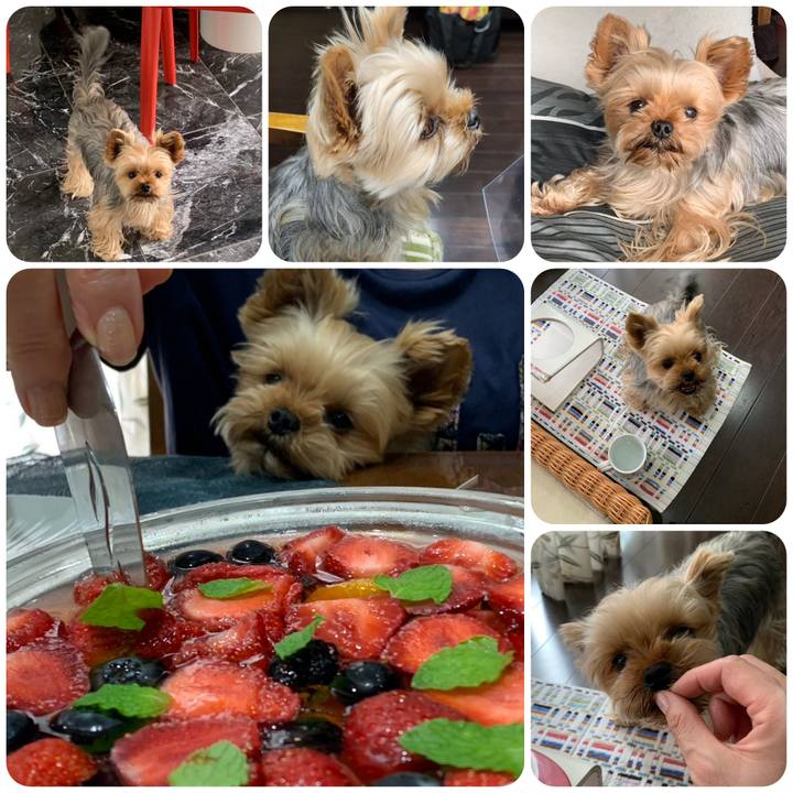 2ed2fbab a617 44bd b1a8 75364949c4bd 1714826382333