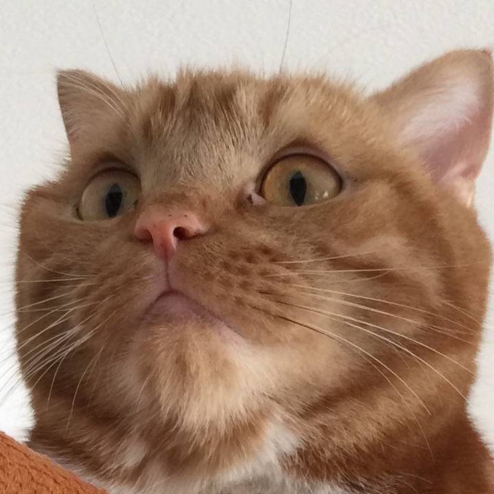 2ed30db0 d7d4 4d40 a089 f3d3fb3453c0 1541221410331