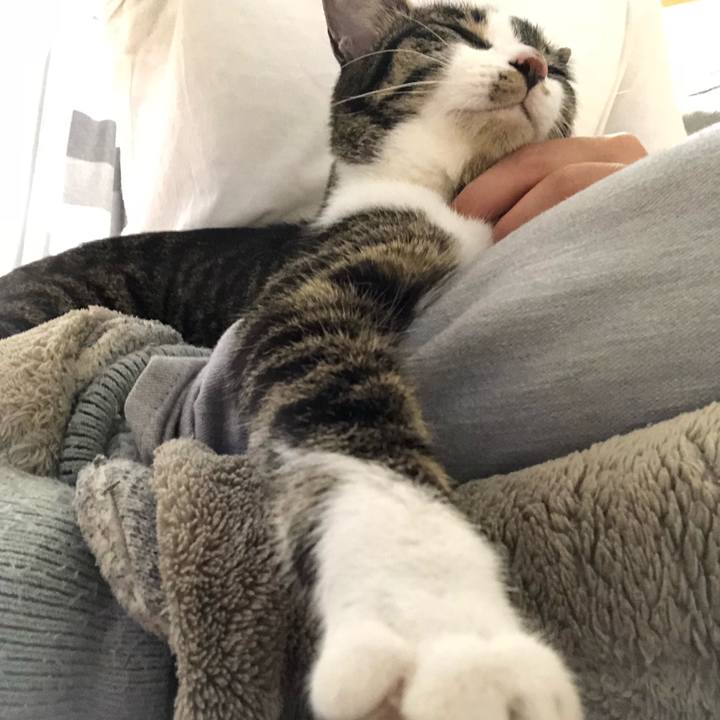 2ed310bd 07af 4b97 8485 603314bdf0dd 1525340298463