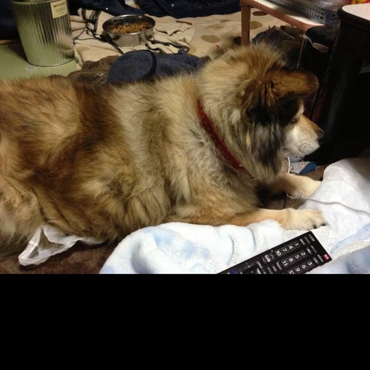 2ed325d4 3dbf 4fa4 ba96 148c908f51f4 1639456290173