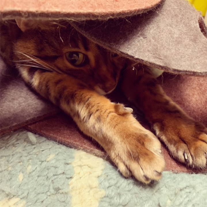 2ed3b843 7ef8 4ea3 9211 bf6102c9db1f 1606446271566