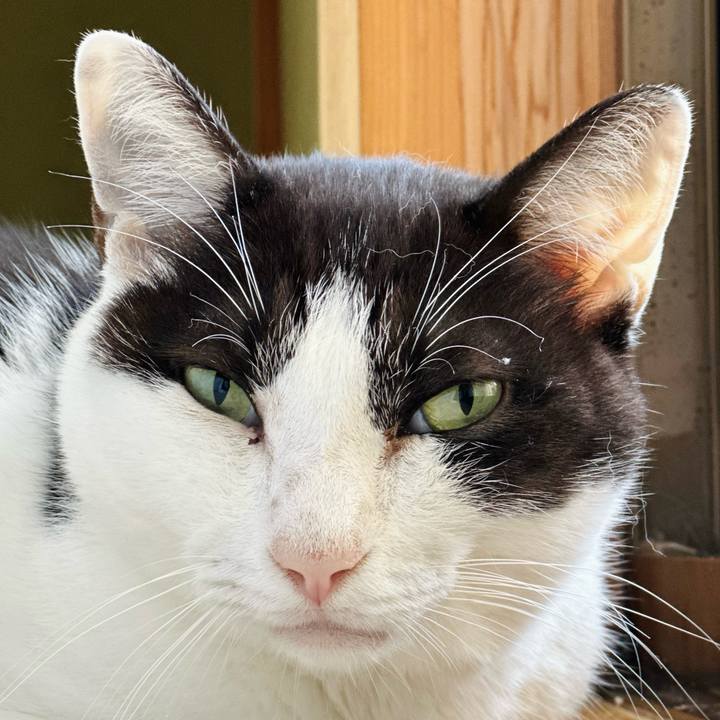 2ed3bc72 a18a 4edf 89b8 92a4c6584a27 1666661657127