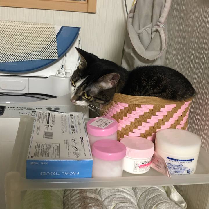 2ed3cefd 8b9a 48e9 93a3 025d3a035cde 1565533774453