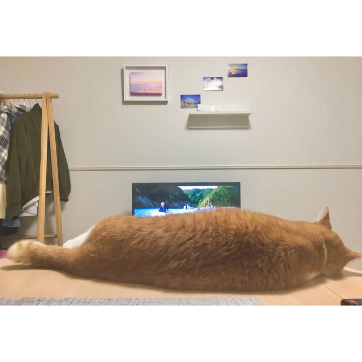 2ed3e845 cd69 4764 b37e 29e32a643bdc 1587083735689