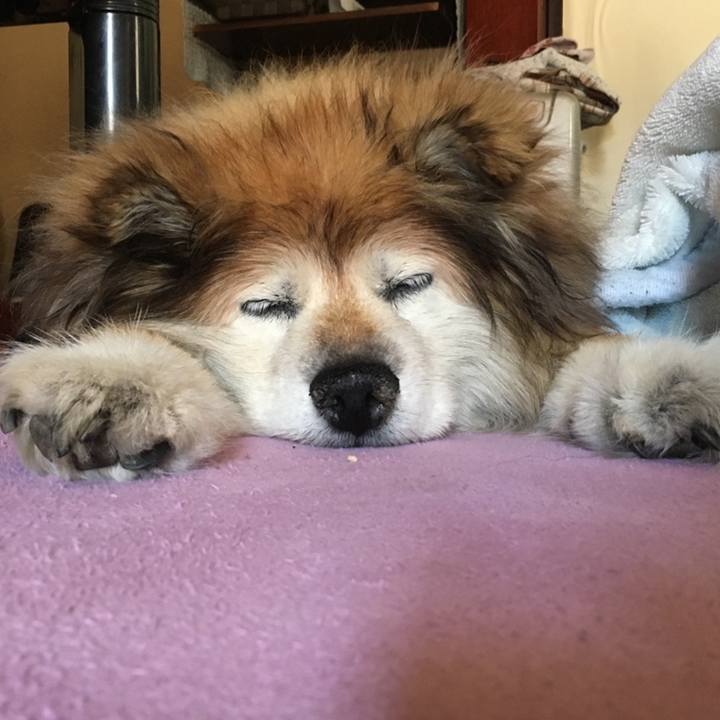 2ed4b453 7933 4c41 bbda 69a84db8bcf5 1656085485381