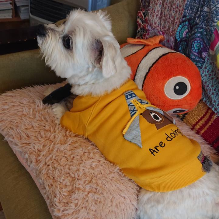 2ed4ee66 cf68 4461 bc5e 37a7223e194e 1613455877122