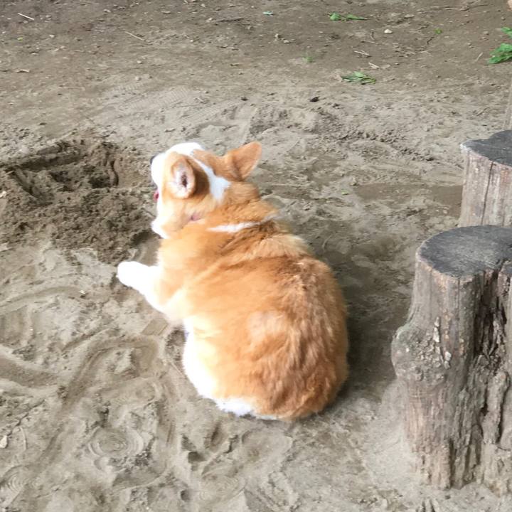 2ed50107 4e22 4b50 9b97 2b1dc10ece55 1539074349494