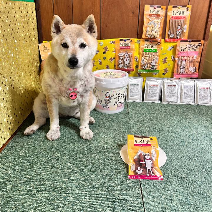 2ed50be3 9eea 455c 8423 c45cf1bf7609 1747735165678