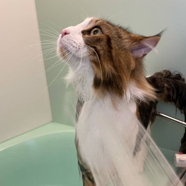 2ed52deb 09a8 40b8 8e2c 3c064b25cc49 1655117482864