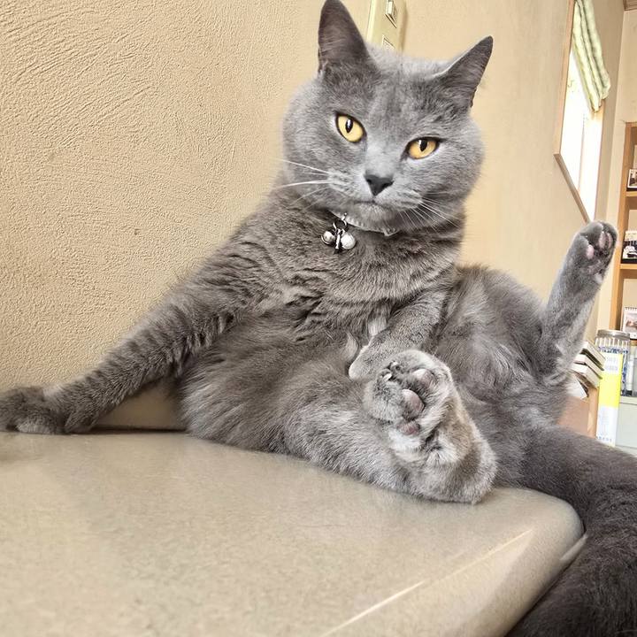 2ed577fc 7748 482d b48c 9499b4786b5e 1751327889647