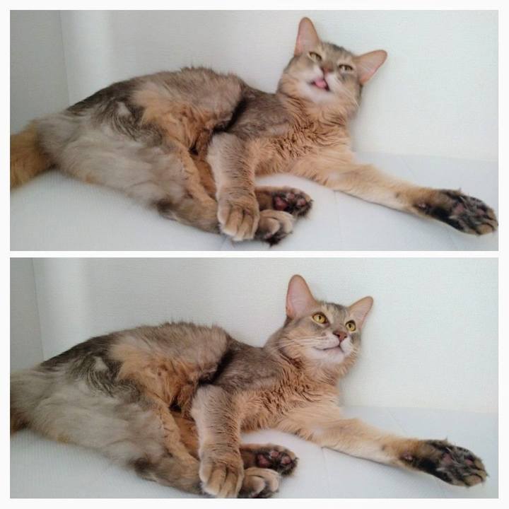 2ed5bef4 9691 4fdb be1e 0dbf511974f6 1605013319819