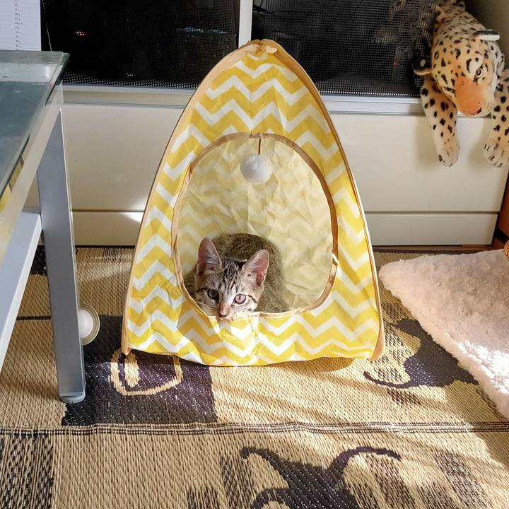 2ed5d12a 5d23 4ecb 9de6 402be7cc0342 1628128229648