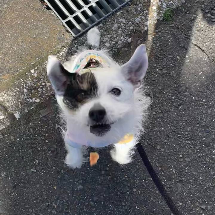 2ed5dae6 4df6 492f b4aa 7b5ee2d86e98 1677546184209