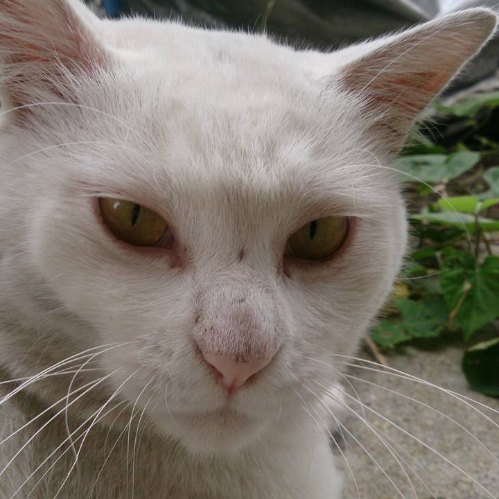 2ed5e063 2128 4d4c af80 2afb35276f97 1513119438469