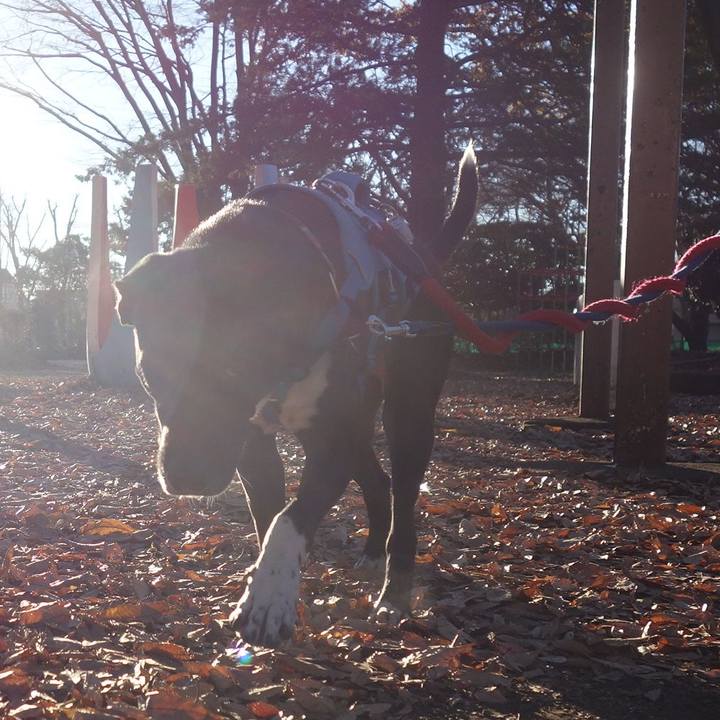 2ed5f4dc 0816 43f3 b968 4cdcaa07b9bc 1608077305781