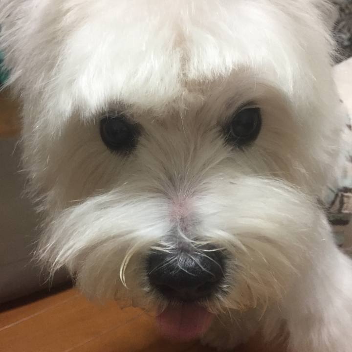 2ed61f22 041f 4f5b 872a d9edc9cc4ba6 1537274981810