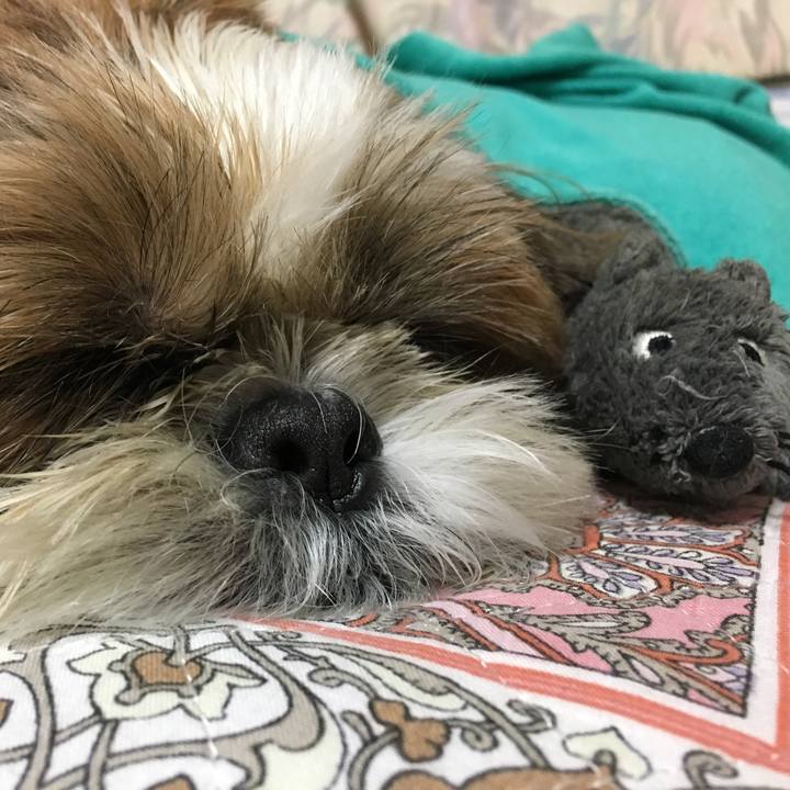 2ed62388 60f7 49a3 a390 31ab4222f385 1509182103588