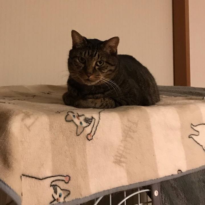 2ed62ec3 480b 45f2 ae1a 3aafd4e8f577 1572511496472