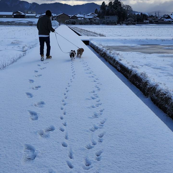 2ed6303a 8b51 4316 9203 2e72d6957fa2 1768185992890