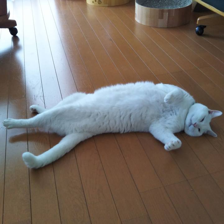 2ed64c16 a2b5 49cd b21f d0864a820d2b 1624949293845