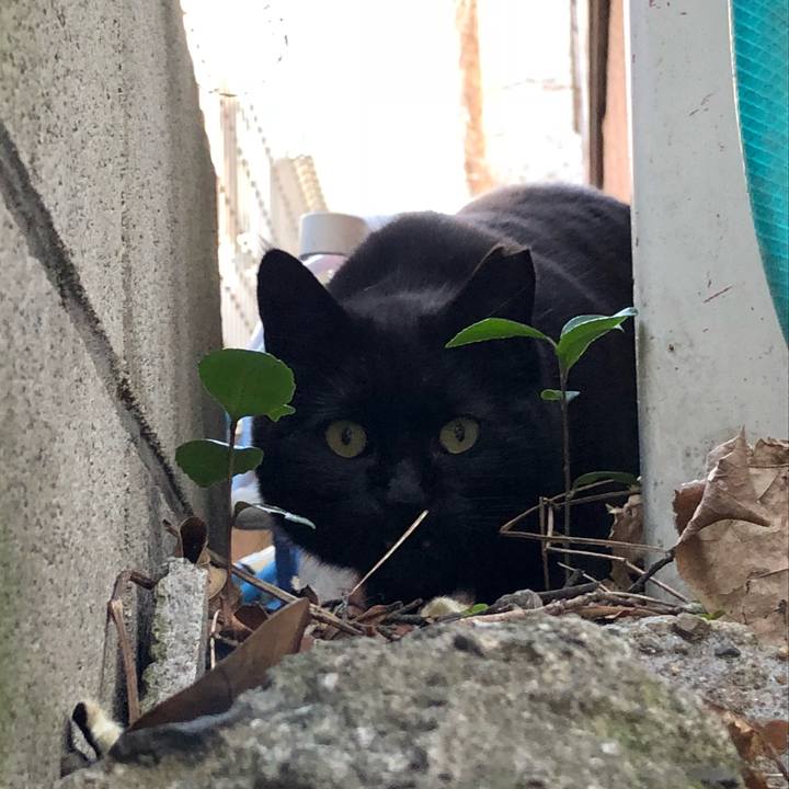 2ed6696e d305 4211 bc3c 7f4dc040f0ba 1521276483276