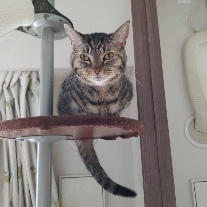 2ed69bfe bb8c 47a3 b58f 5c71ea6eb7de 1564872649131