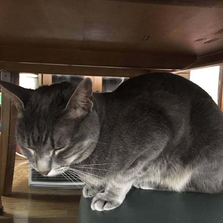 2ed6dddd 533b 468f a9d8 5acab741e63b 1556325223233