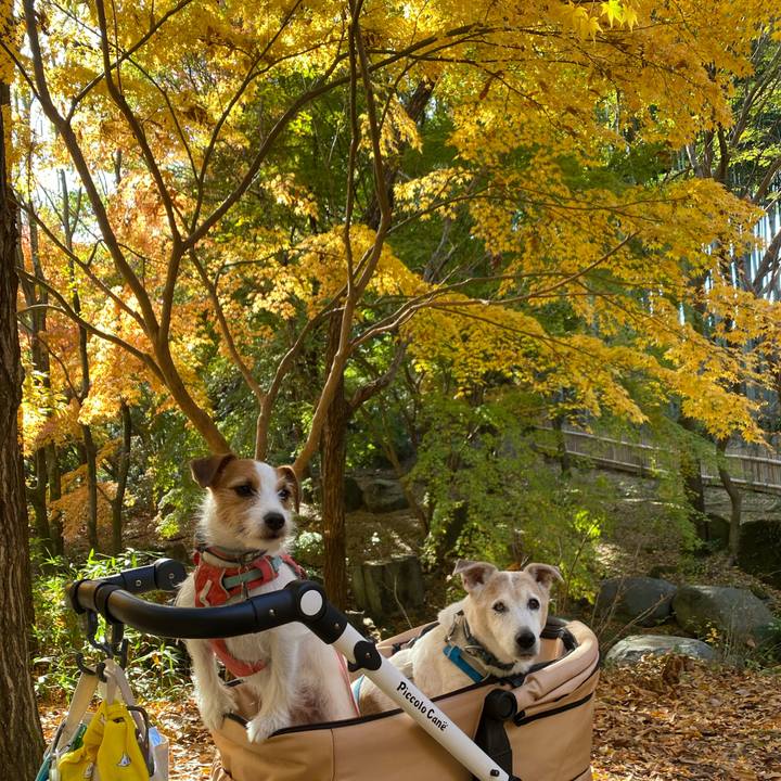 2ed6e7a0 1cba 4a72 9011 c345e0ccc6b6 1700969414946