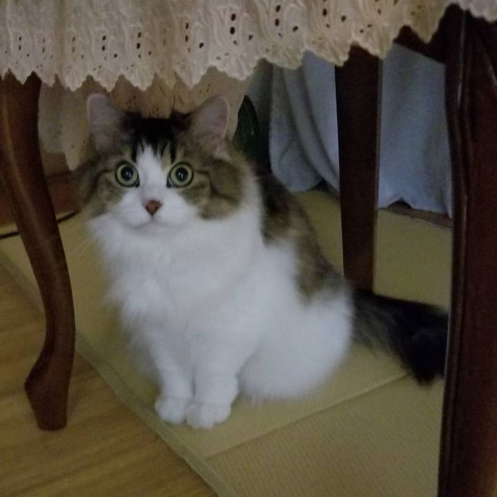 2ed701ce 7be5 4c47 9ef1 27a7a5f9e26f 1533818292748