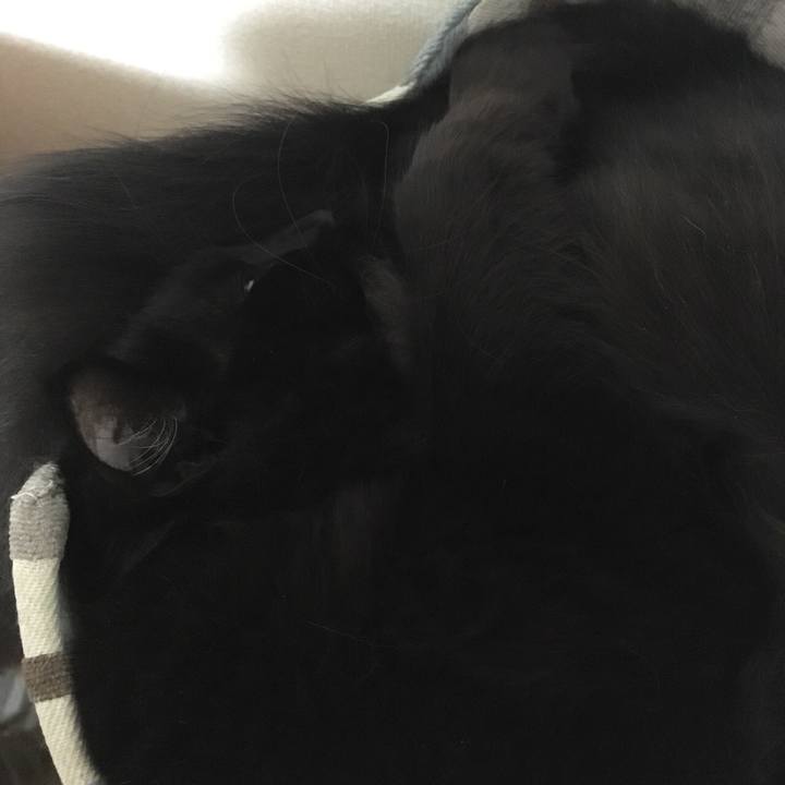 2ed732e0 40be 472f a51b da74f32caca7 1520261443917