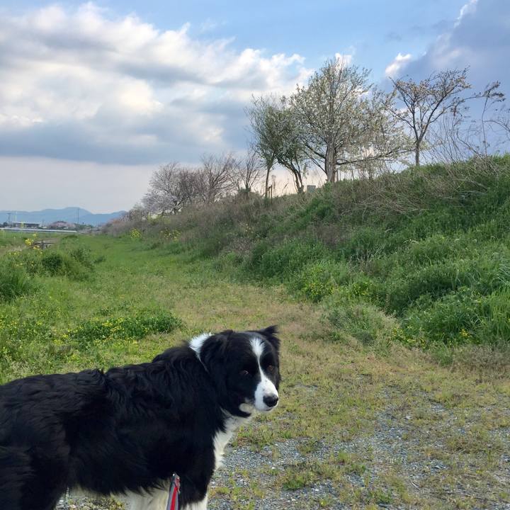 2ed7354f 321a 4561 9cd0 66ac9b5dbfc0 1554248057518