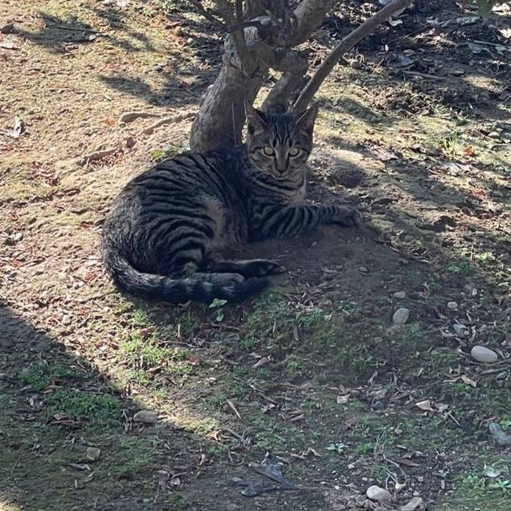 2ed74935 b967 444e 9dac f442735524ea 1637115872646