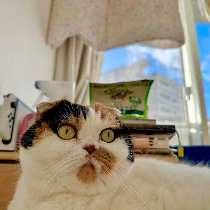 2ed7a166 d78b 4d29 ae6a 48dbd3a39e57 1705448438795