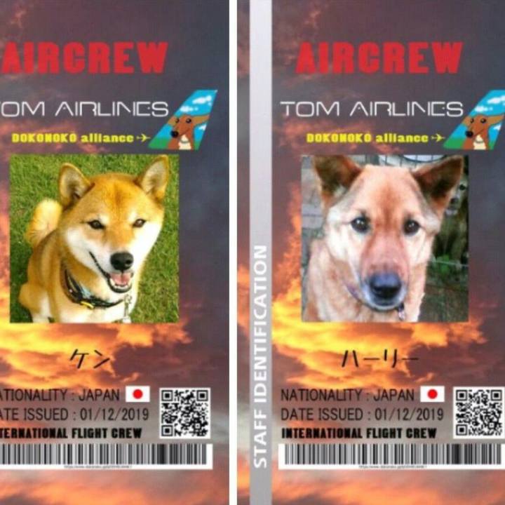 2ed7aeb5 9c11 4845 a1f7 21d1be8340f8 1628781529903