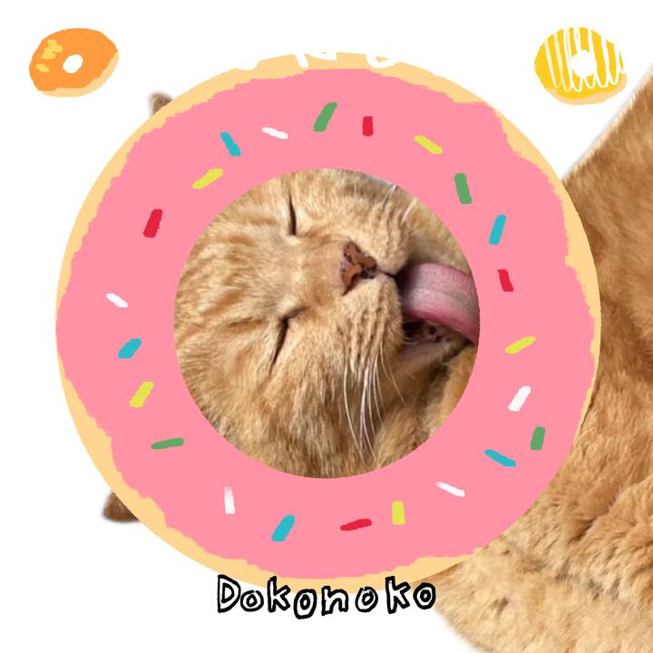 2ed7ce10 d9a3 414a 977e 481ba529c331 1744358574205