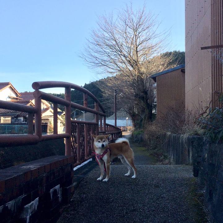 2ed800c7 b11b 4df9 953c 67b756b14a3a 1514620660355